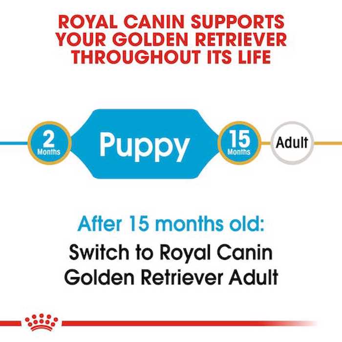 ROYAL CANIN GOLDEN RETRIEVER JUNIOR 3K XIRA TROFI SKuLOu